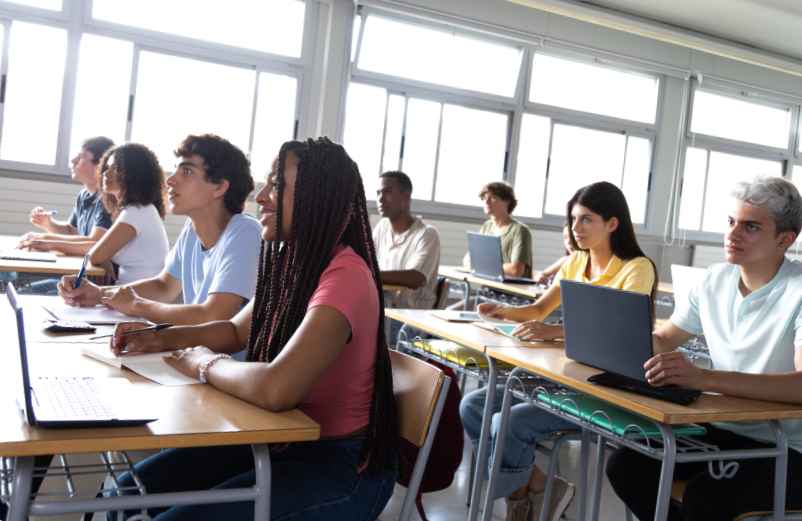 Les formations de niveau licence